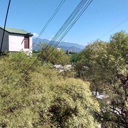 Acogedor Departamento Frente Al Parque Civico Lägenhet Mendoza Exteriör bild